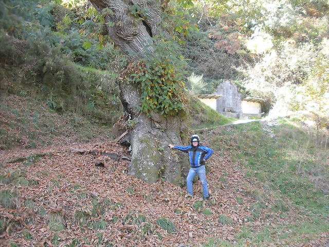 DSCN0076 DSCN0076