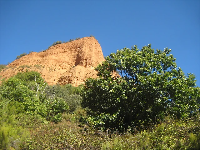 IMG_0179 IMG_0179