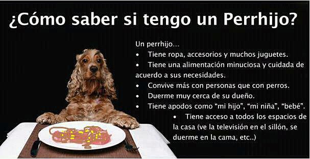 Perro