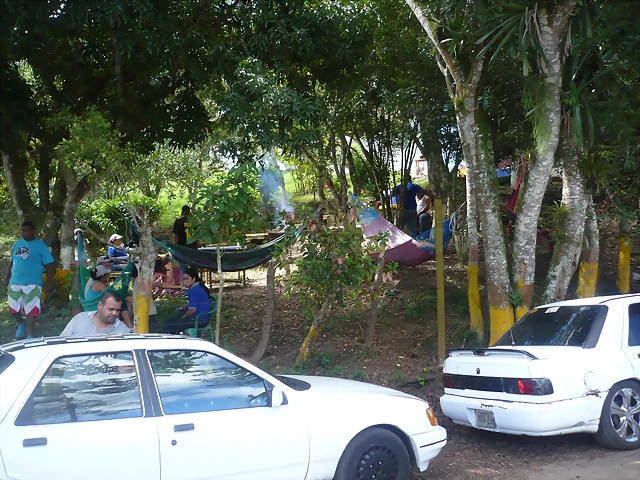 P1000567 P1000567