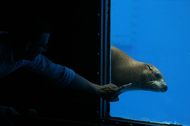 Zoo de Barcelona 07-06-11 274 Zoo de Barcelona 07-06-11 274