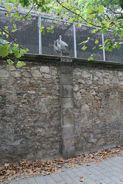 Zoo de Barcelona 30-08-2010 i 31-08-10 Zoo de Barcelona 30-08-2010 i 31-08-10