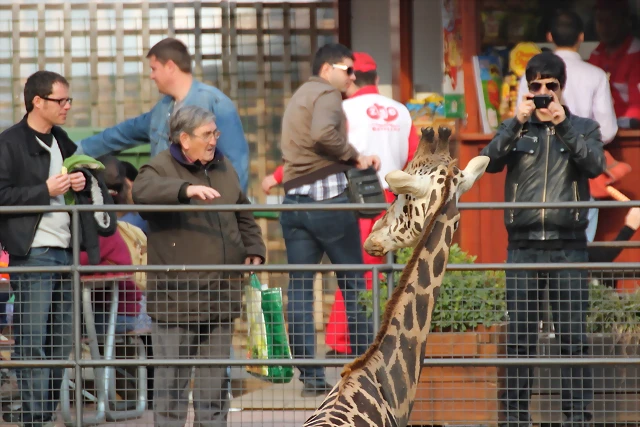 Zoo de Barcelona 03-03-12 369 Zoo de Barcelona 03-03-12 369