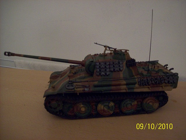 Panther G 08-08 002