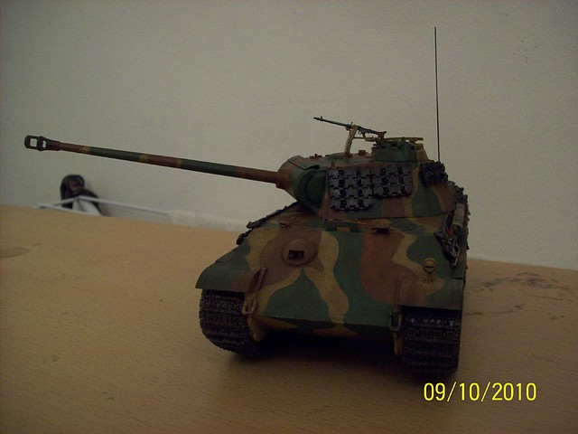 Panther G 08-08 006