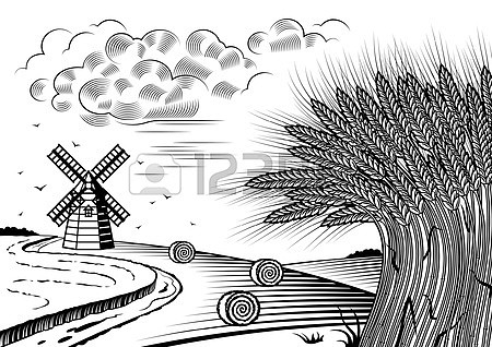 11623142-los-campos-de-trigo-del-paisaje-en-blanco-y-negro 11623142-los-campos-de-trigo-del-paisaje-en-blanco-y-negro
