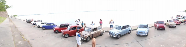 P1070546 P1070546