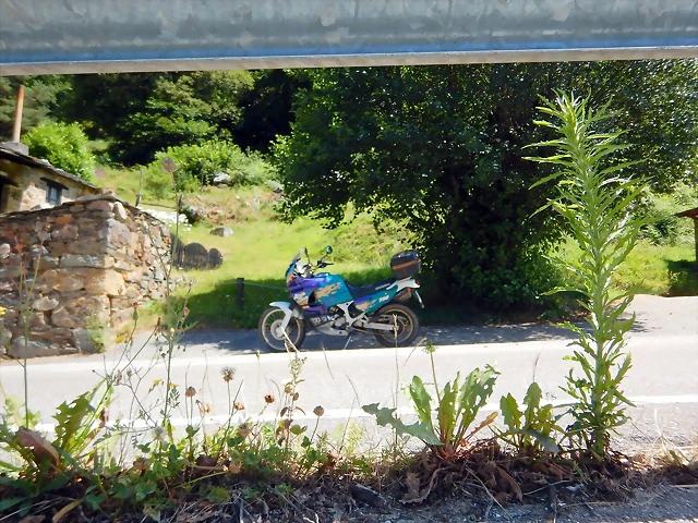 DSCN7727 DSCN7727