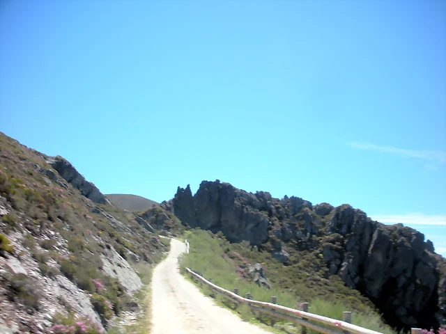 DSCN8522 DSCN8522