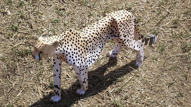 Cheetah (papercraft) by Pendragon