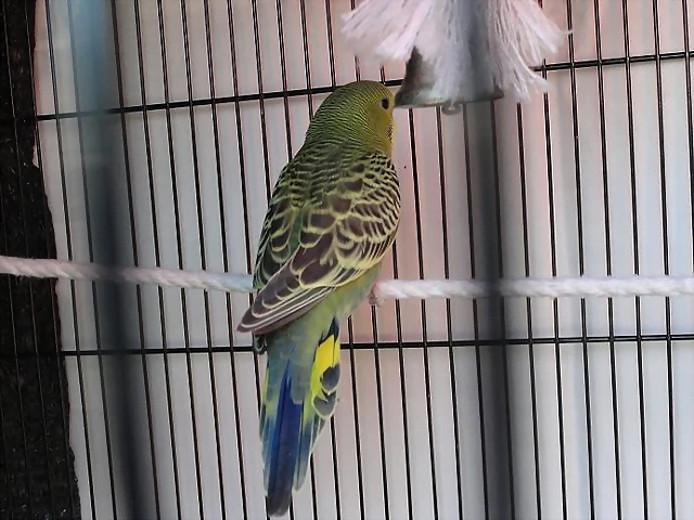 Q9 Q9