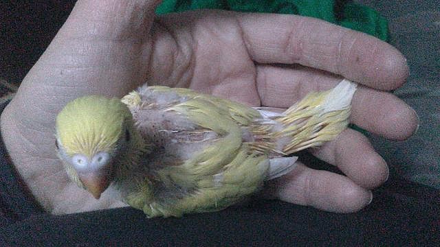 S7a S7a