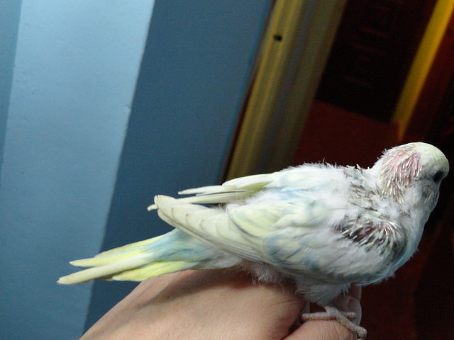 DSC00429 DSC00429