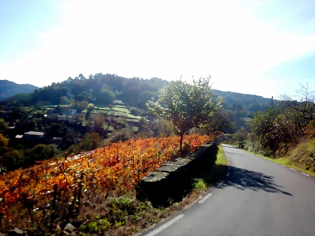 DSCN1535 DSCN1535