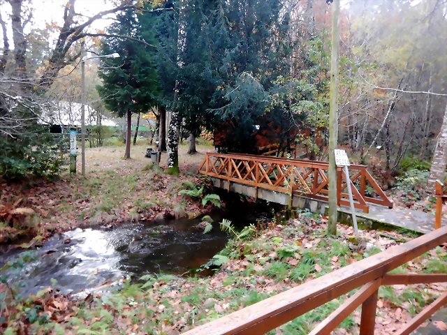 DSCN1802 DSCN1802