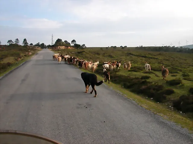 reglaje 042 reglaje 042