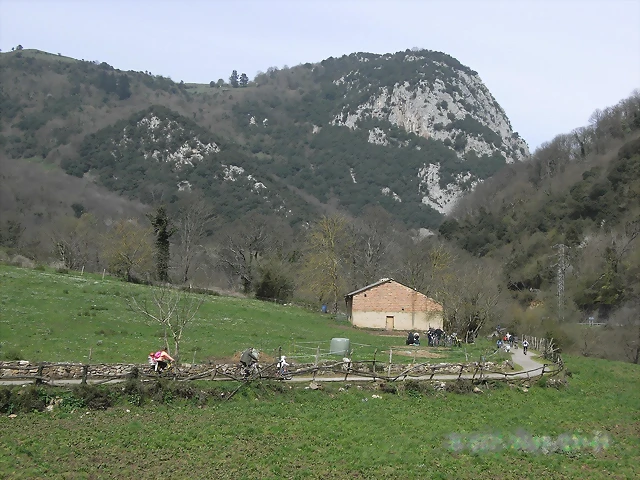 R0012405 R0012405