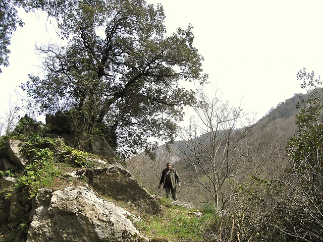 R0012358 R0012358