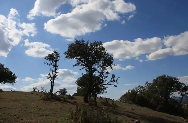 001, nubes de algodn