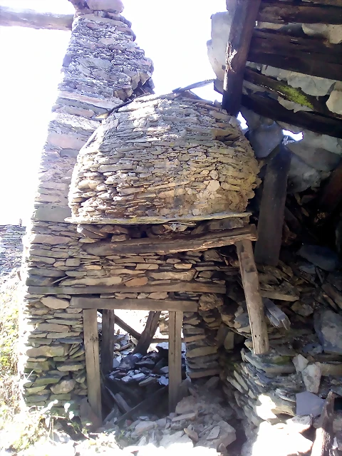 DSCN2525 DSCN2525