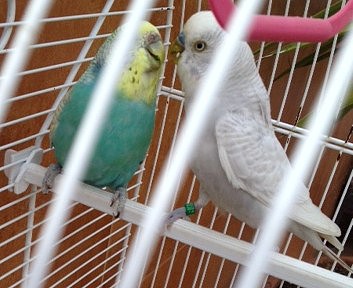 IMG_6523 IMG_6523