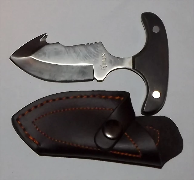 skinner dingo
