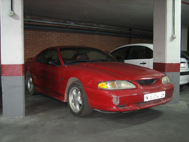 IMG_7765 IMG_7765