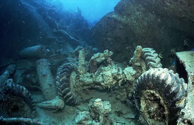 thistlegorm-wheels-shells