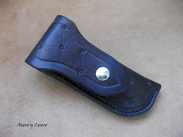 Holster6961