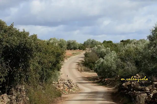 03, por el llano del cura, marca