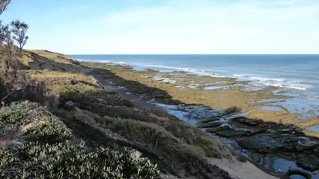 Bahía Rosas 2013