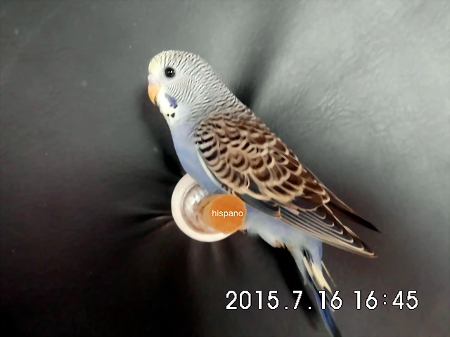 CIMG1324 CIMG1324