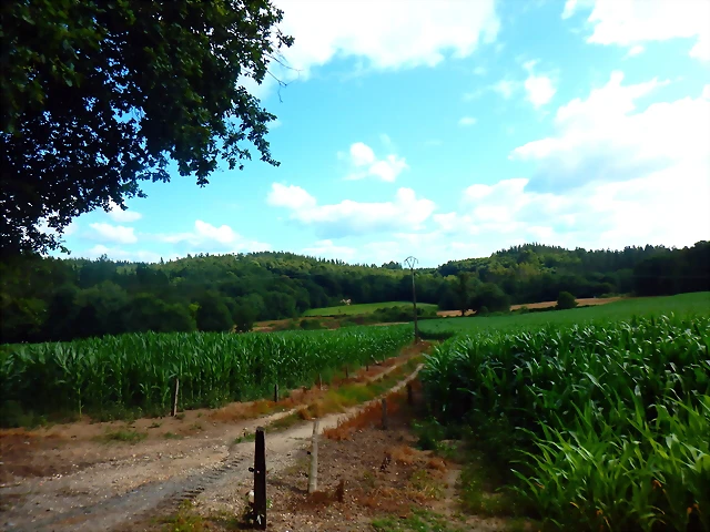 DSCN6402 DSCN6402