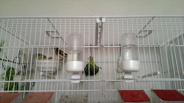 1 1