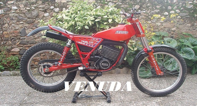 1 - MOTOCAT VENUDA