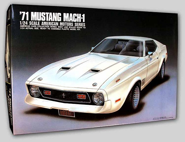 arii1971mustang