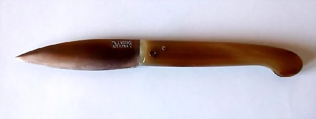 pallares pastor cuerno