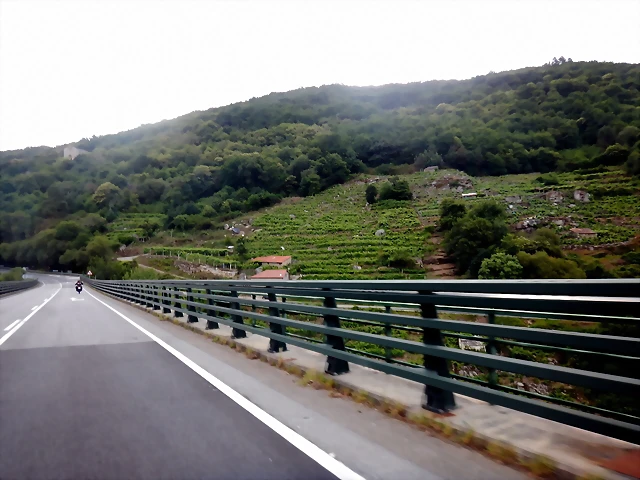 DSCN7586 DSCN7586