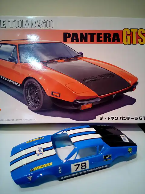 dtomaso3