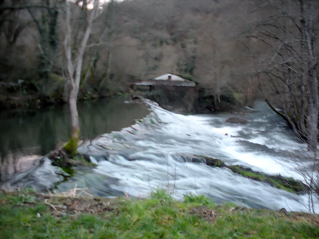 DSCN2889 DSCN2889