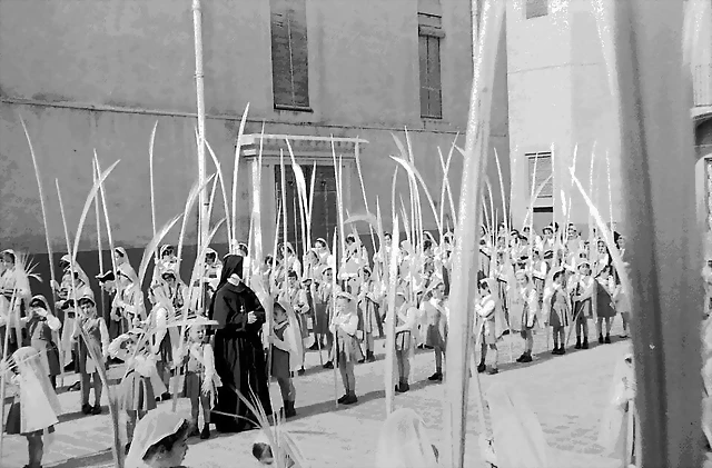 Tarragona Domingo de Ramos jesus maria 2