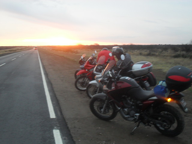SDC10301 SDC10301