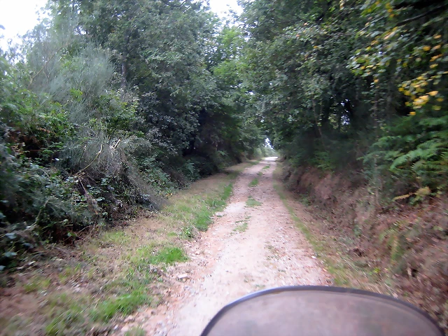 IMG_0524 IMG_0524