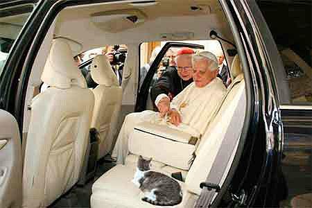 BENEDICTO XVI CON SU GATO CAMINO DE CASTELGONDOLFO BENEDICTO XVI CON SU GATO CAMINO DE CASTELGONDOLFO