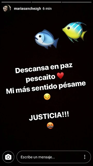 Mar?a IG Stories 11-3-2018 (2) Mar?a IG Stories 11-3-2018 (2)