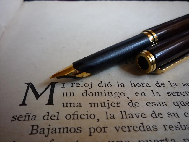 P1030593 P1030593