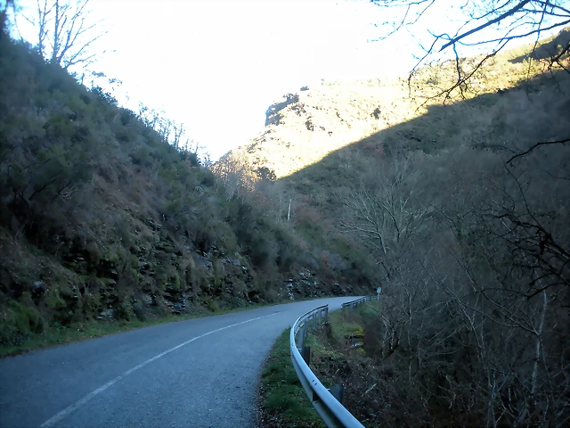 DSCN2421 DSCN2421
