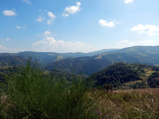 DSCN9177