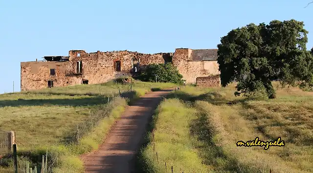 01, la carnicera, marca