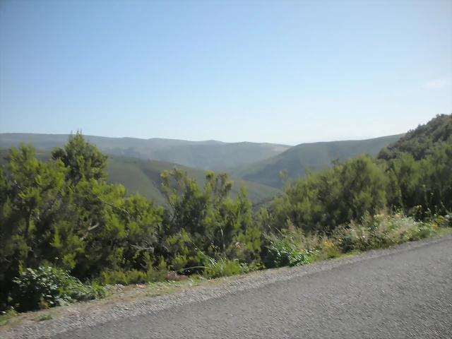 DSCN0063 DSCN0063